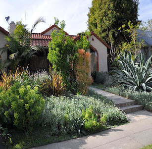 Front Yards
